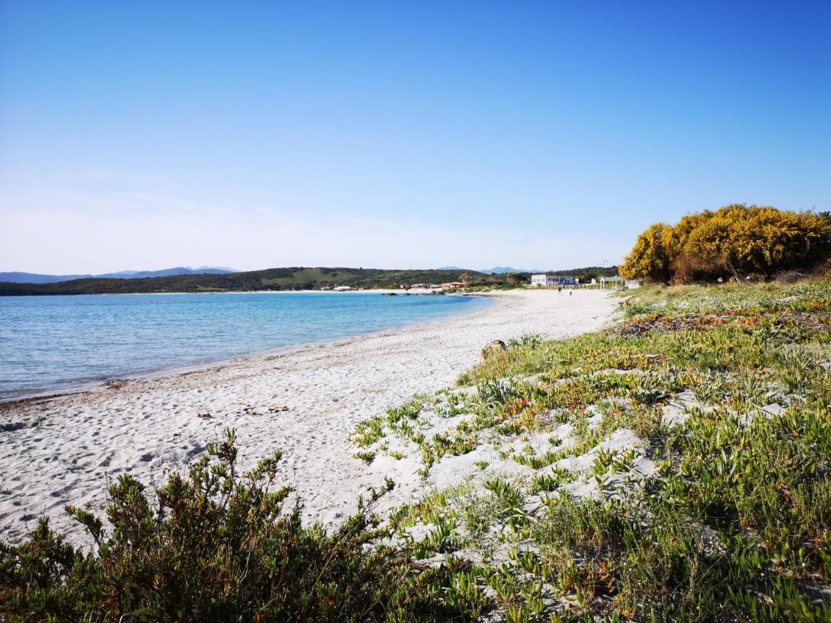 Insardinia House Trilocale A 200Mt Dalla Spiaggia Olbia Dış mekan fotoğraf