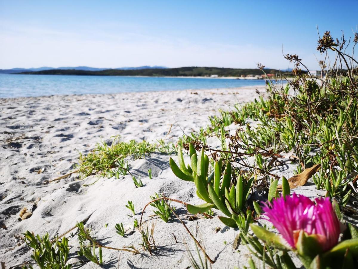 Insardinia House Trilocale A 200Mt Dalla Spiaggia Olbia Dış mekan fotoğraf